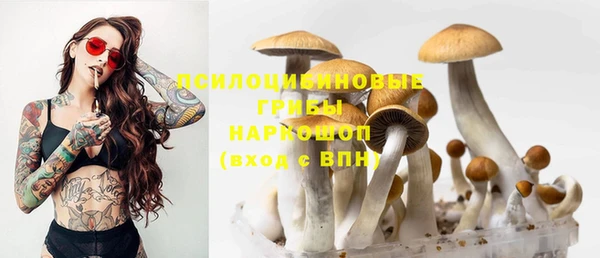 винт Гусь-Хрустальный