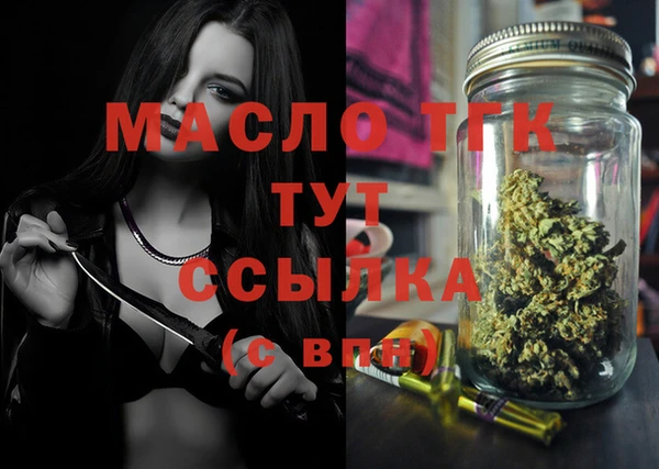 винт Гусь-Хрустальный