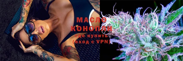 винт Гусь-Хрустальный