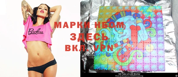 винт Гусь-Хрустальный