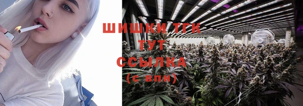 винт Гусь-Хрустальный