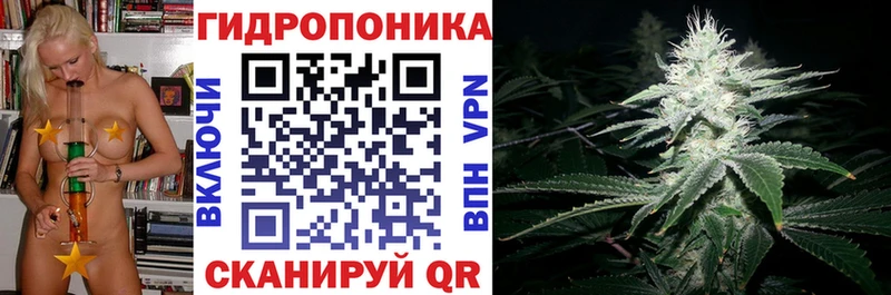 Купить где  Михайловск  Бошки Шишки White Widow 